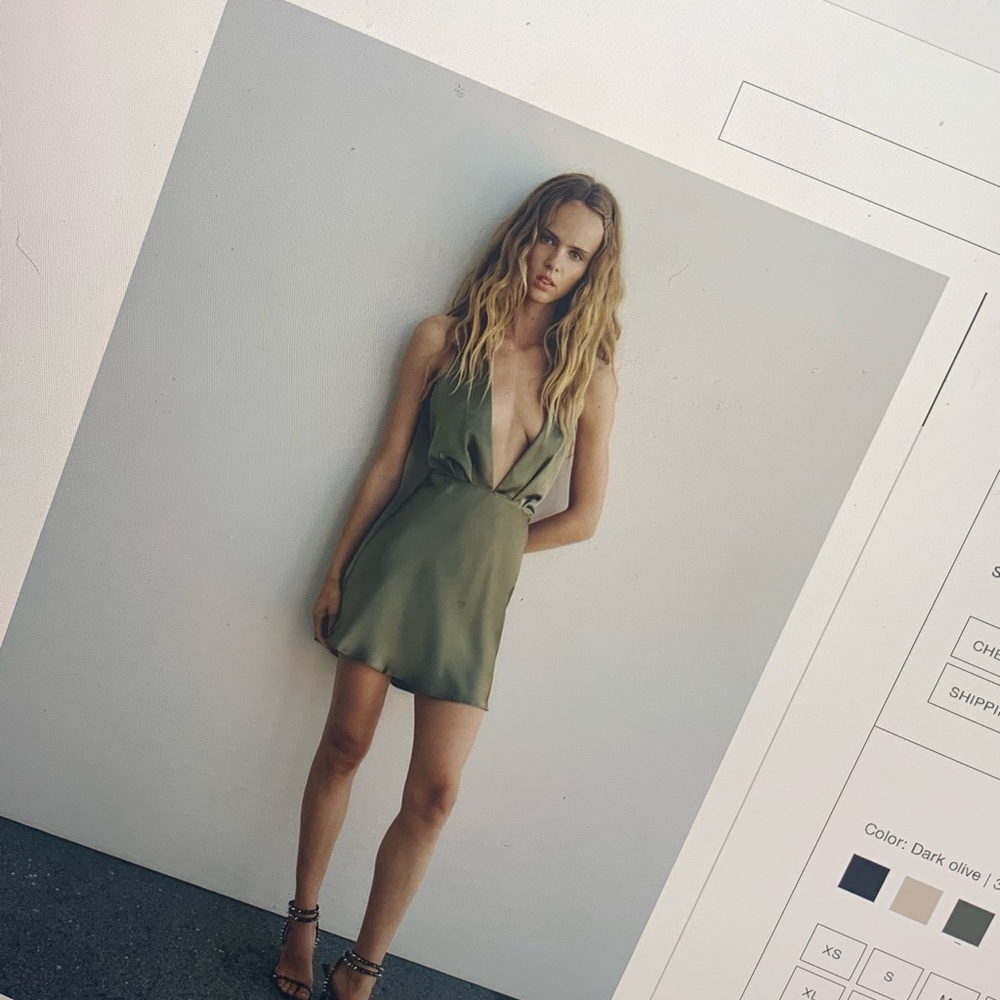 Zara Dress